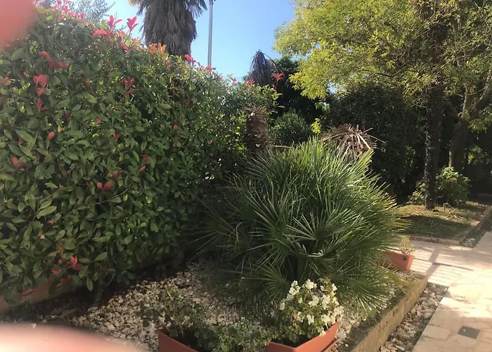 Bloom Near The * بوريتش