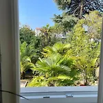 Bloom Near The *