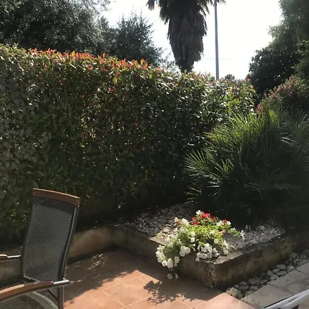 Apartment Bloom Near The *