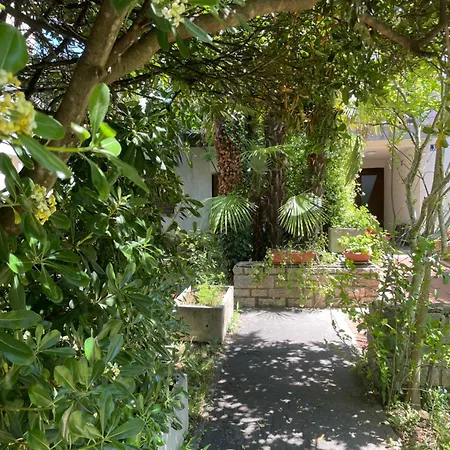 Apartamento Bloom Near The