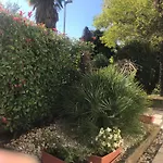 Bloom Near The * Poreč