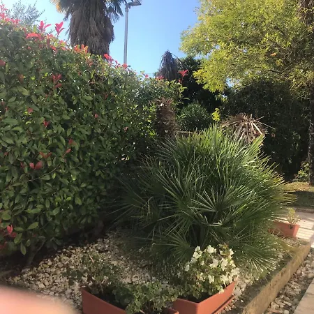 Bloom Near The * بوريتش